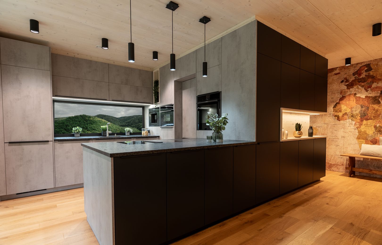 Dissauer Studio